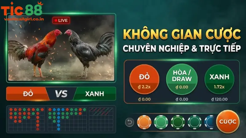 Bật Mí Mẹo Cược Đá Gà TIC88 Thắng Lớn Từ Cao Thủ